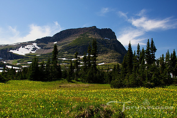 Logan Pass