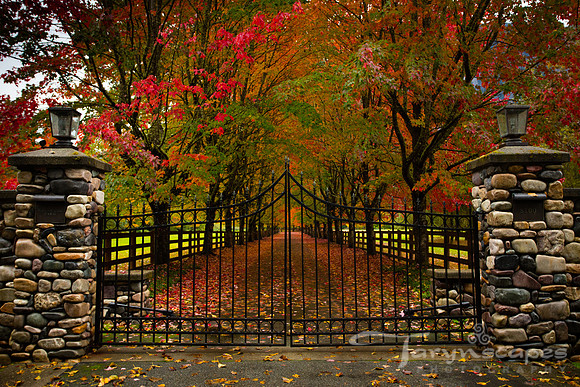 Autumn's Gate