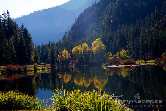 Fall Reflection