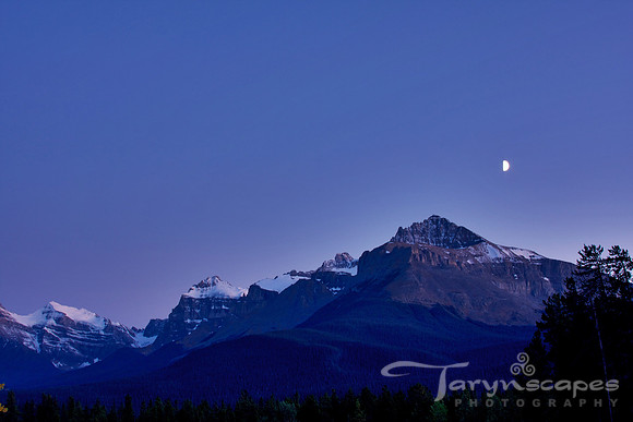 The Crossing Moon