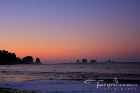 La Push at Dawn