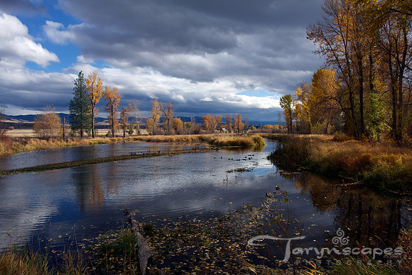 Montana Autumn