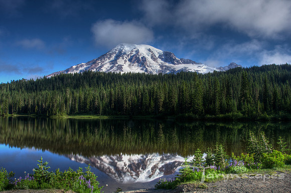 Stillness of Summer