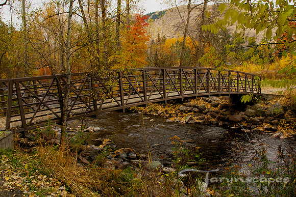 Fall Crossing