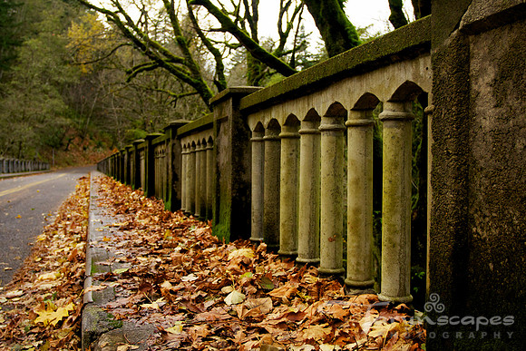 Diminishing Autumn