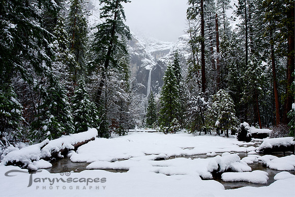 Winter Wonderland