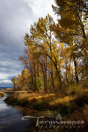 Fall on the Refuge
