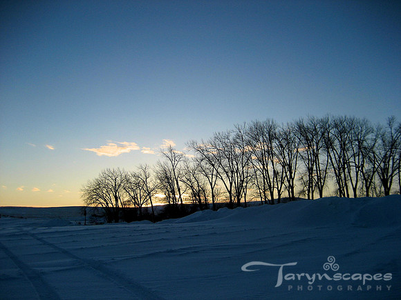 Fading Light