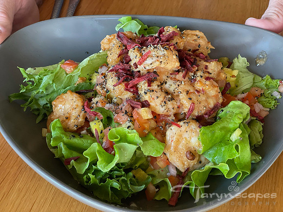 Langastine salad with leafy lettuce and large shrimp like pieces of seafood