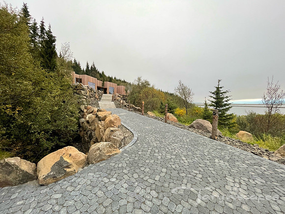A stone path winds up a hillside that is treelined.