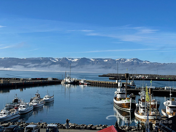 Multiple boats are docked at a marina with mountains in the distance and bright blue skies