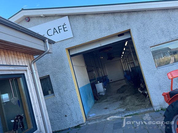 Entrance to the cafe that is near the open door with cows in their stalls