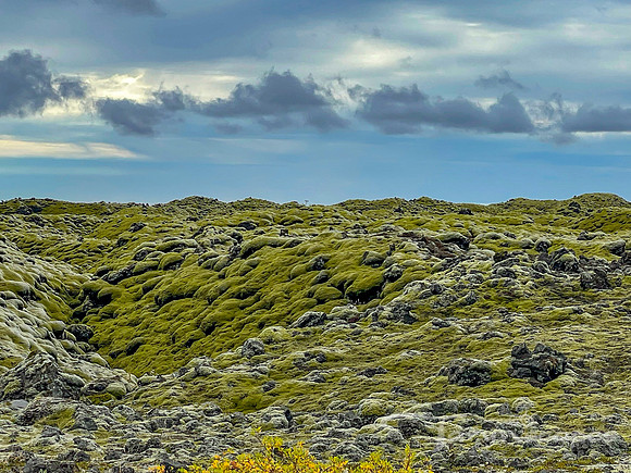 iceland iphone-333
