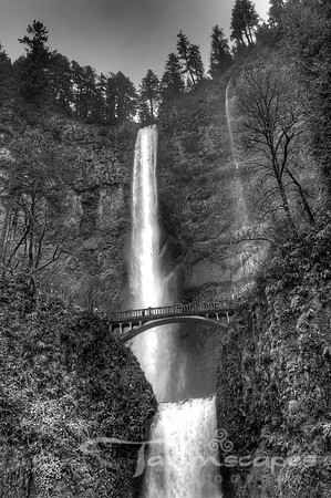 Multnohmah Falls
