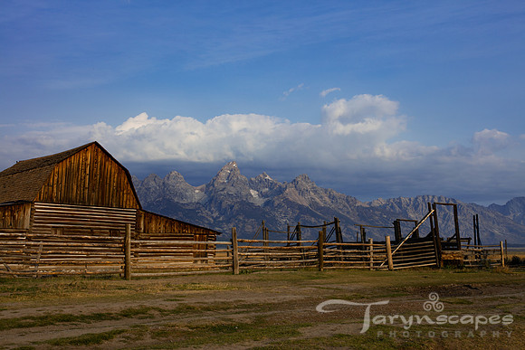 Moulton's Barn