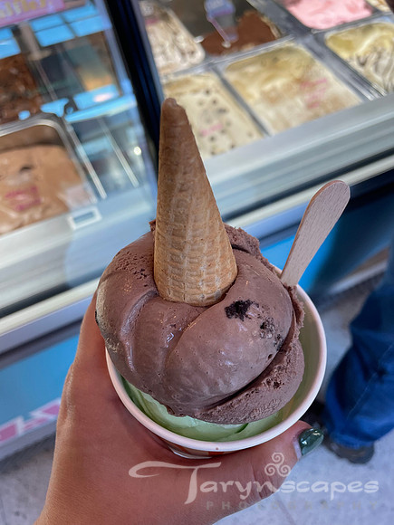 Cup of mint and chocolate ice cream with a small cone sticking out of the top.