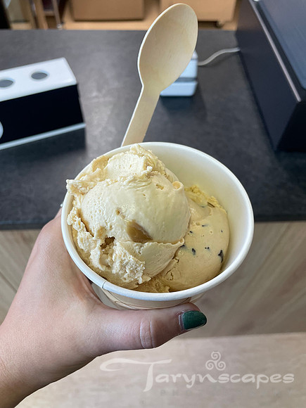 2 scoops of Beige ice cream with chocolate chunks in a cup