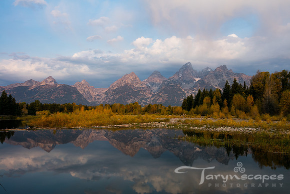 Grand Reflection
