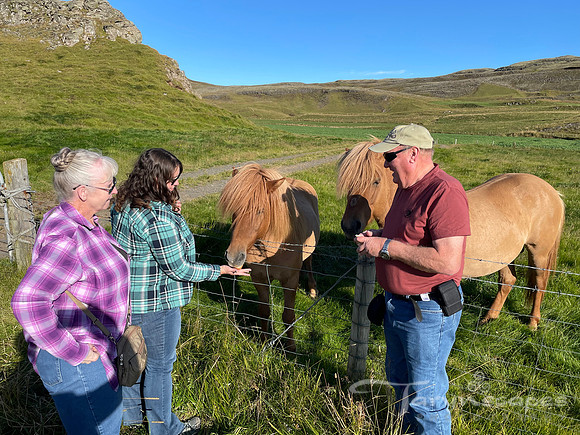 My mom and myself in plaid sun shirts, and dad in his hat feeding two Icelandic horses.