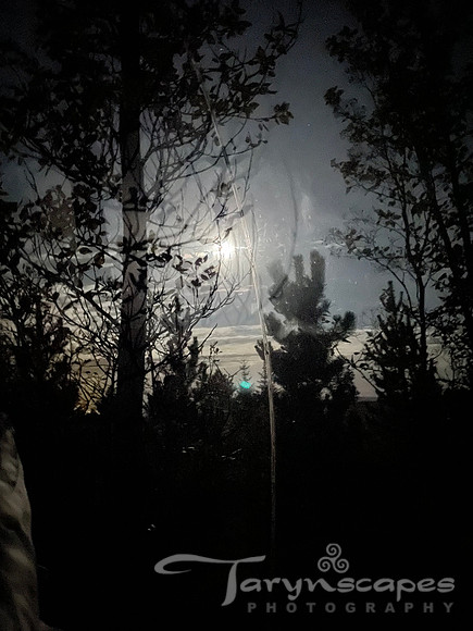 Bright moon peaking through the dark trees from inside the bubble.