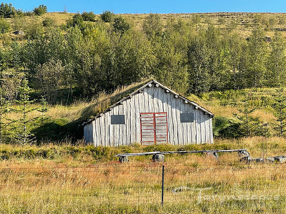 IMG_0869