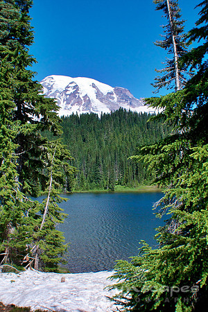 Mt. Rainier