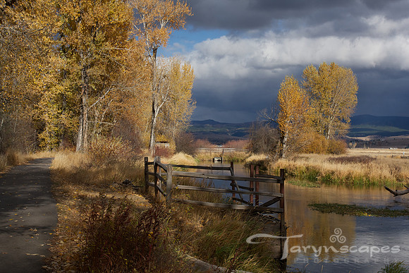 Fall in the Bitterroots