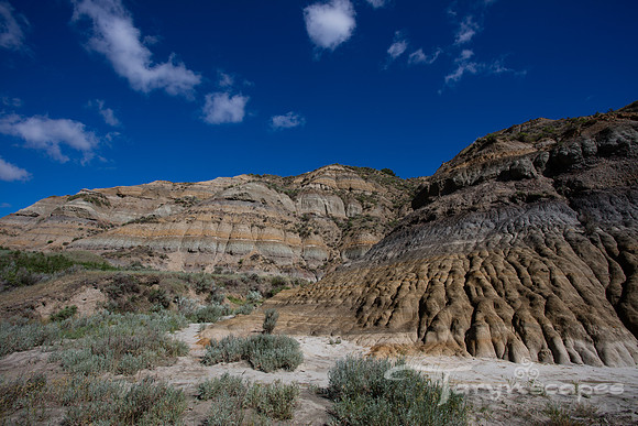 Caprock Coulee