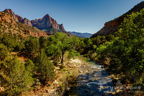 Zion Spring