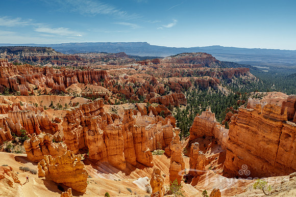 Hundreds of hoodoos are staggered across Bryce Canyon on a blue sky day