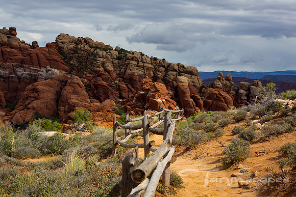 Into the Fiery Furnace