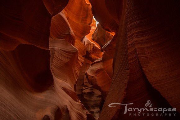 Antelope Canyon