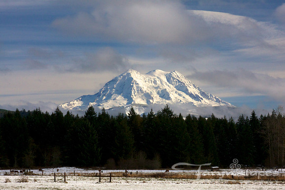 Rainier's Snow