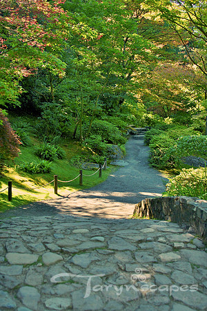 Stoned Path