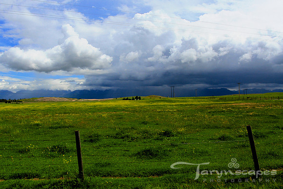 Home on the Range