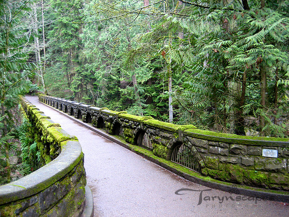 Bridge at Whatcom Falls