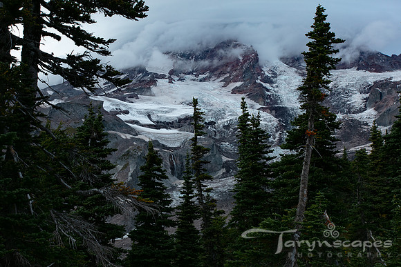 Mystic Rainier