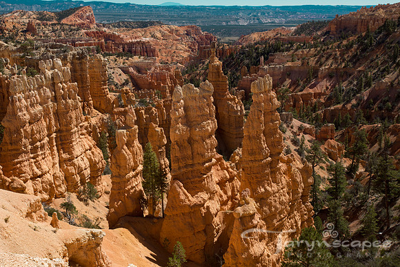 Hoodoos at Fairyland