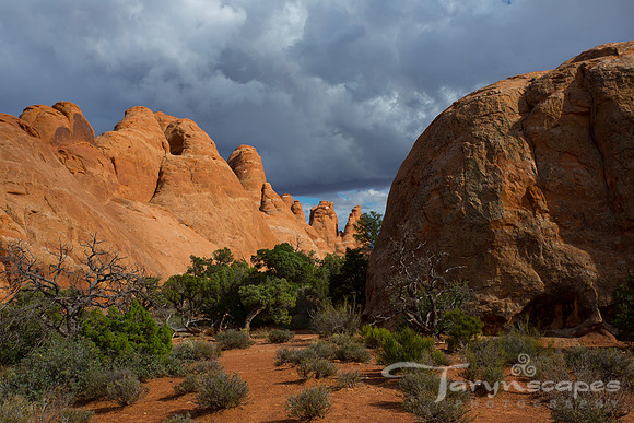 Devil's Garden