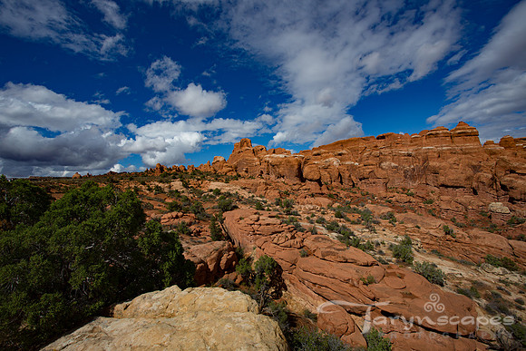 Fiery Furnace