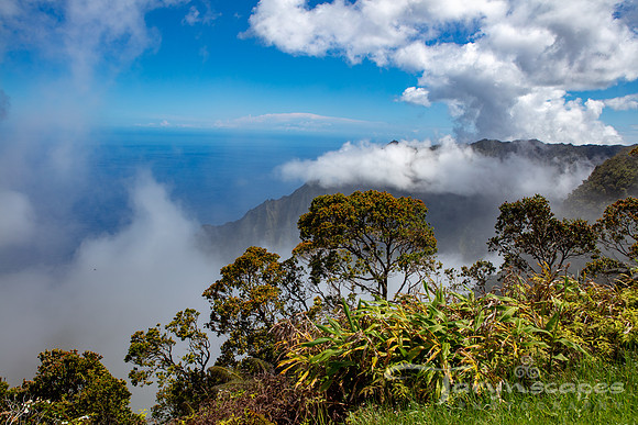 Pu'u O Kila