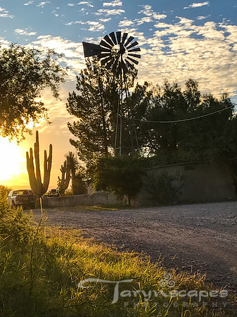 Ranch Sunrise