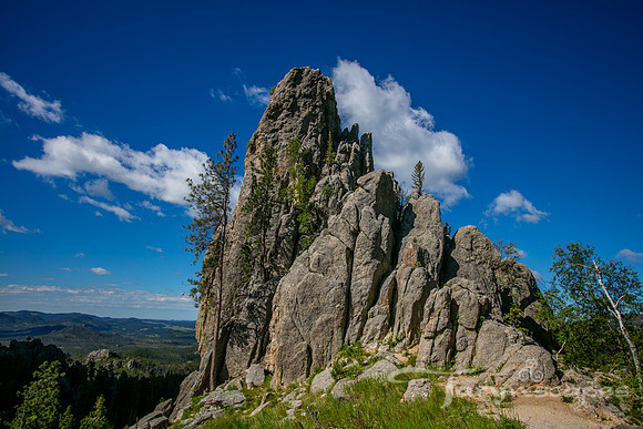 Black  Hills-162
