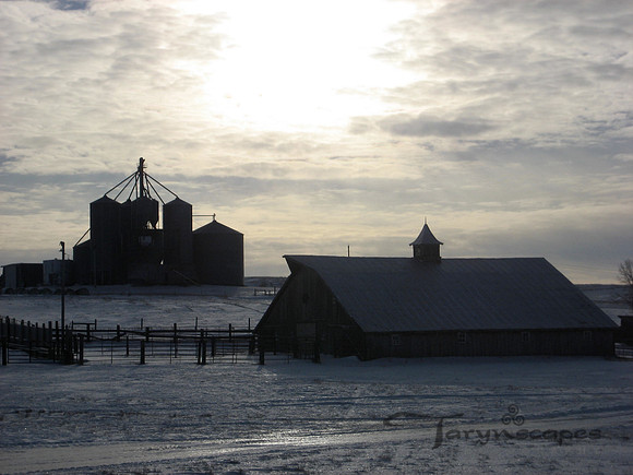 Winter's Glint