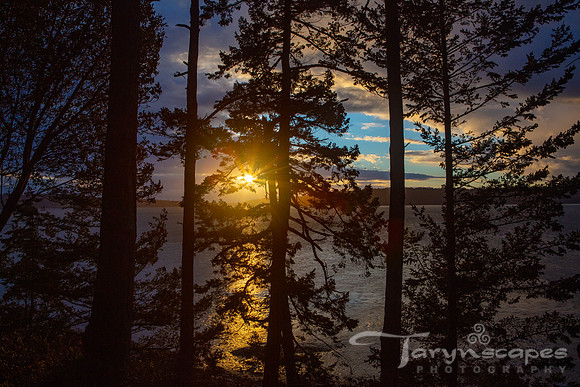 PNW Sunset