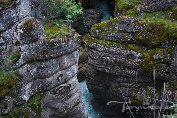 Maligne Canyon