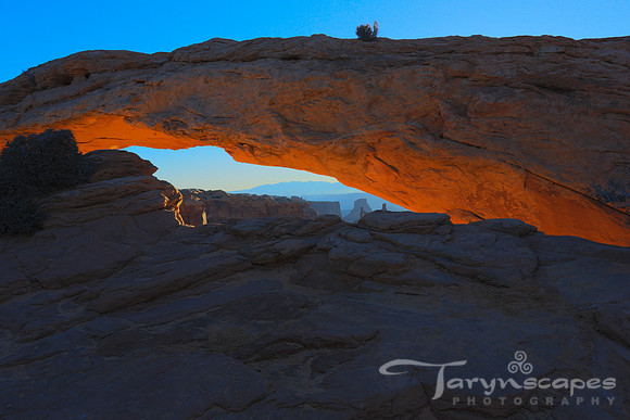 Mesa Arch