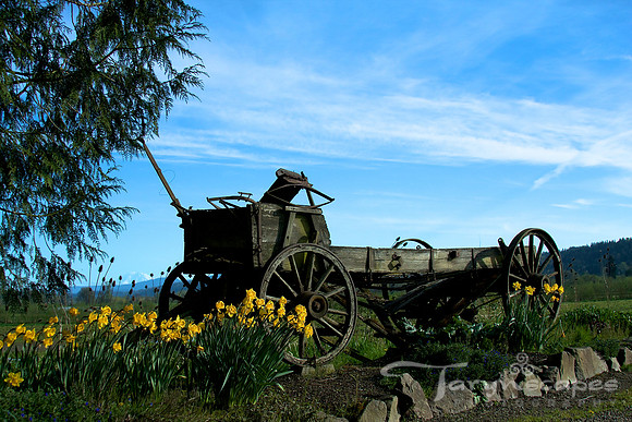 Country Wagon
