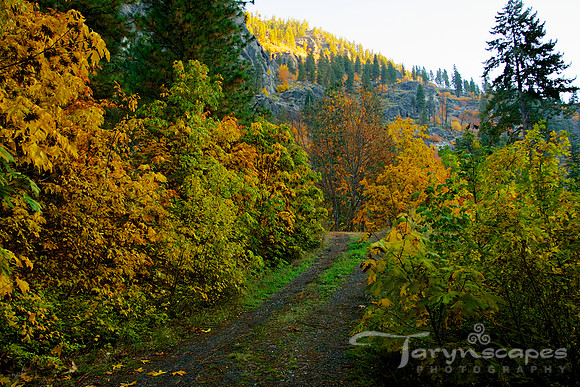 Autumn Ascent