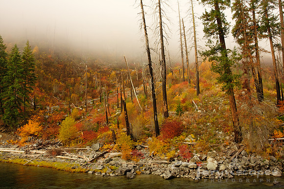 Beneath the Fog